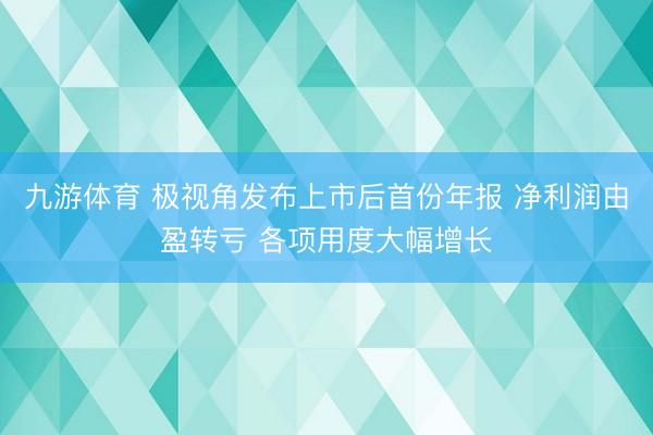 九游体育 极视角发布上市后首份年报 净利润由盈转亏 各项用度大幅增长