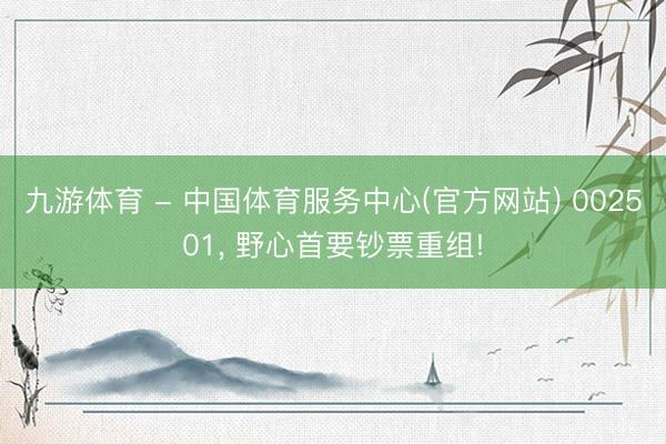 九游体育 - 中国体育服务中心(官方网站) 002501， 野心首要钞票重组!