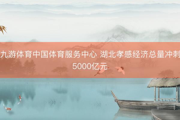 九游体育中国体育服务中心 湖北孝感经济总量冲刺5000亿元